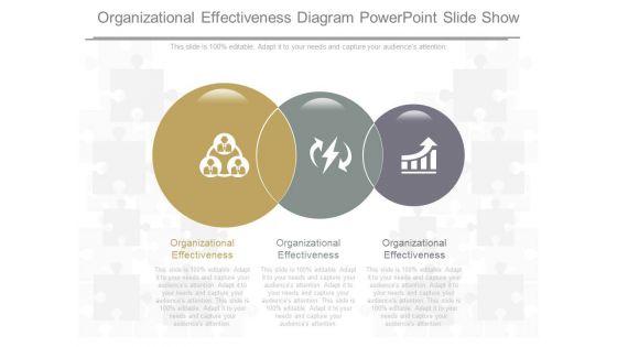 Organizational Effectiveness Diagram Powerpoint Slide Show