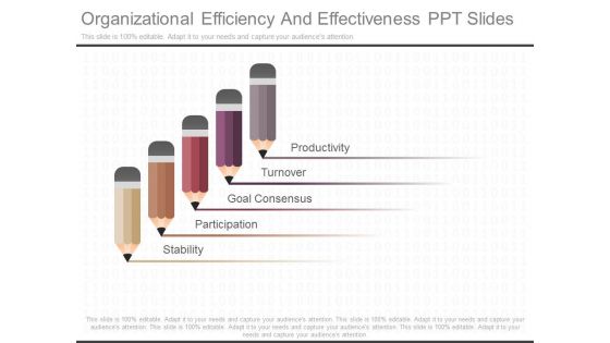 Organizational Efficiency And Effectiveness Ppt Slides