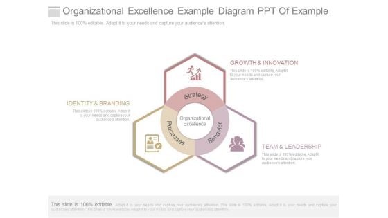 Organizational Excellence Example Diagram Ppt Of Example