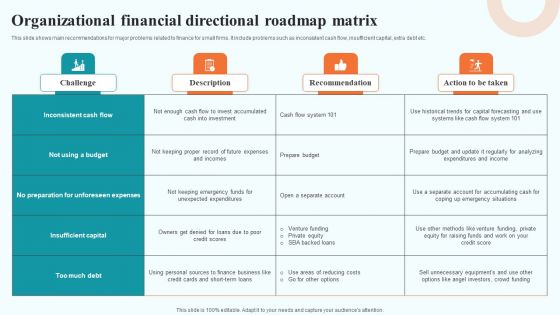 Organizational Financial Directional Roadmap Matrix Summary PDF