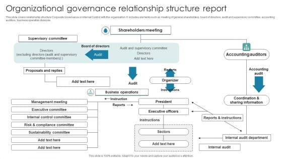 Organizational Governance Relationship Structure Report Ideas PDF