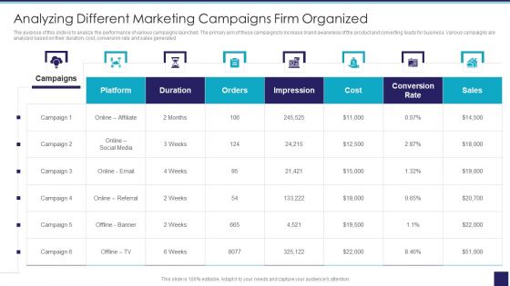 Organizational Issue Resolution Tool Analyzing Different Marketing Campaigns Firm Organized Elements PDF