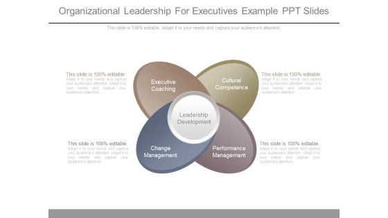 Organizational Leadership For Executives Example Ppt Slides