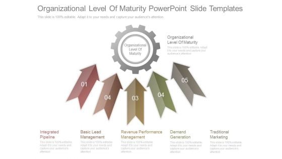 Organizational Level Of Maturity Powerpoint Slide Templates