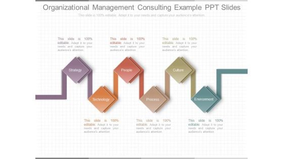 Organizational Management Consulting Example Ppt Slides