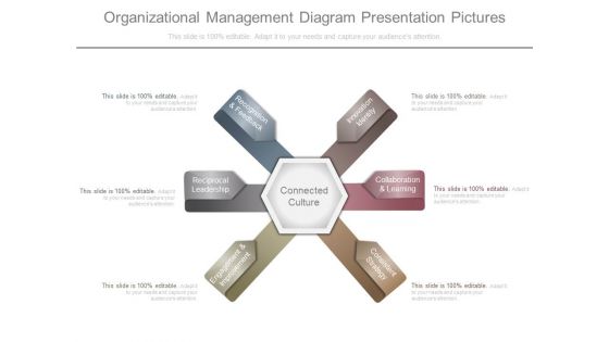 Organizational Management Diagram Presentation Pictures