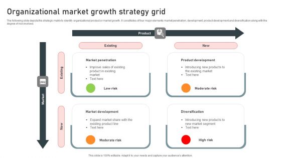 Organizational Market Growth Strategy Grid Brochure PDF