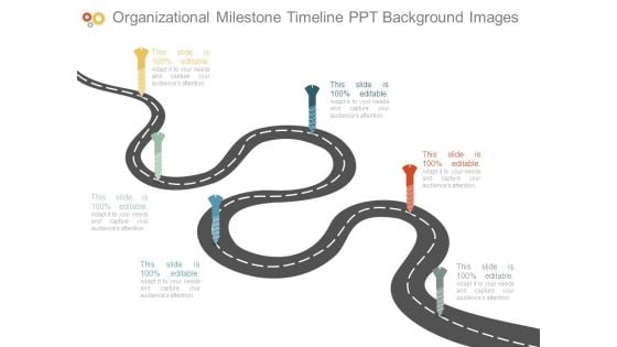 Organizational Milestone Timeline Ppt Background Images