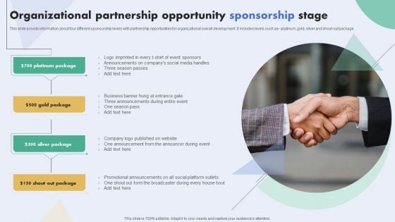 Organizational Partnership Opportunity Sponsorship Stage Brochure PDF