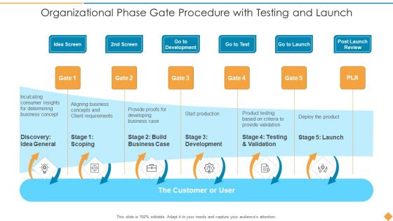 Organizational Phase Gate Procedure With Testing And Launch Pictures PDF Organizational Phase Gate Procedure With Testing And Launch Pictures PDF