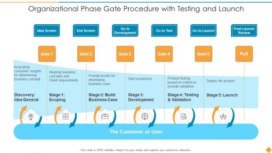 Organizational Phase Gate Procedure With Testing And Launch Pictures PDF