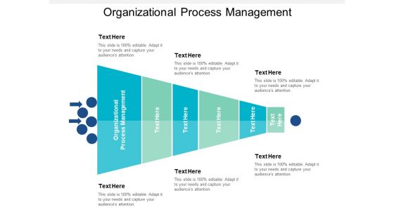 Organizational Process Management Ppt PowerPoint Presentation Deck Cpb