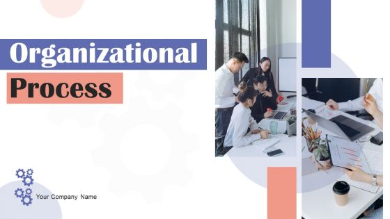 Organizational Process Ppt PowerPoint Presentation Complete Deck With Slides