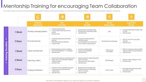 Organizational Program To Improve Team Productivity And Efficiency Mentorship Training Formats PDF