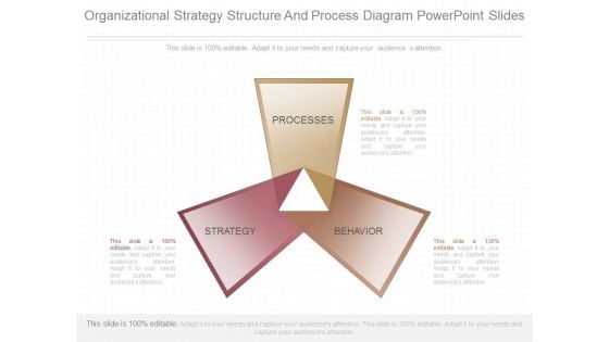 Organizational Strategy Structure And Process Diagram Powerpoint Slides