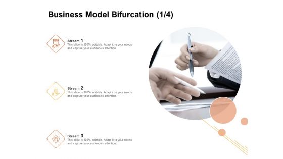 Organizational Structure Business Model Bifurcation Ppt PowerPoint Presentation Summary Maker PDF