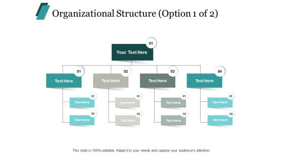 Organizational Structure Business Ppt PowerPoint Presentation Layouts Format