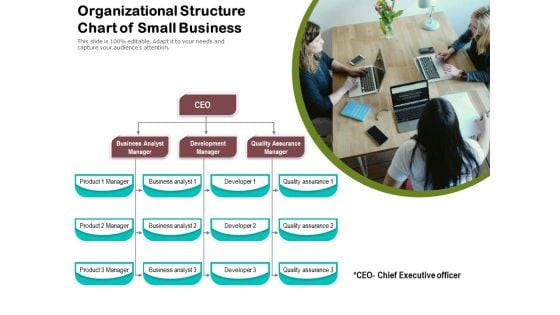 Organizational Structure Chart Of Small Business Ppt PowerPoint Presentation Summary Show PDF