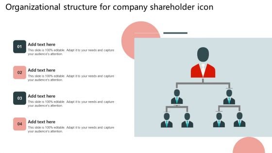 Organizational Structure For Company Shareholder Icon Structure PDF