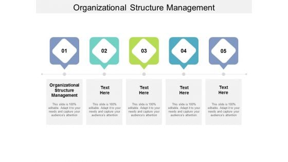 Organizational Structure Management Ppt PowerPoint Presentation Inspiration Deck Cpb