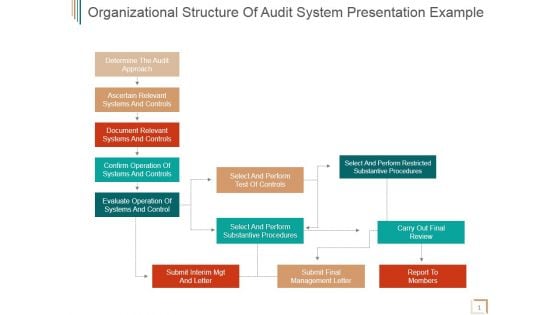 Organizational Structure Of Audit System Ppt PowerPoint Presentation Samples
