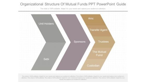 Organizational Structure Of Mutual Funds Ppt Powerpoint Guide