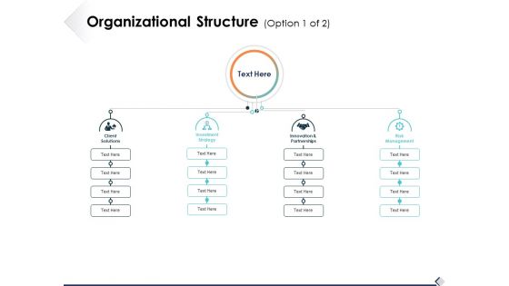 Organizational Structure Option 1 Of 2 Ppt PowerPoint Presentation Pictures Themes