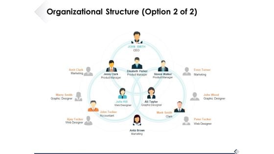 Organizational Structure Option 2 Of 2 Ppt PowerPoint Presentation Infographic Template Deck