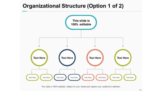 Organizational Structure Option Business Ppt PowerPoint Presentation Show