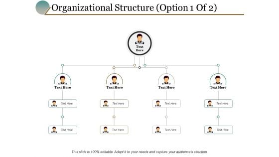 Organizational Structure Option Management Ppt PowerPoint Presentation Portfolio Themes