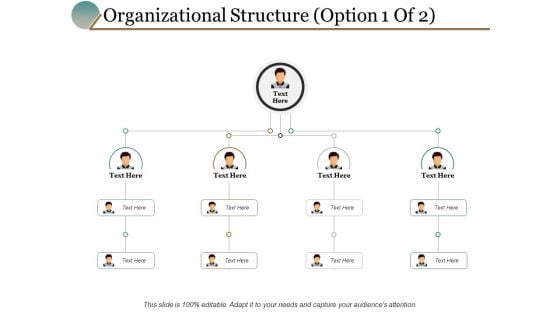 Organizational Structure Option Management Ppt PowerPoint Presentation Portfolio Themes Organizational Structure Option Management Ppt PowerPoint Presentation Portfolio Themes