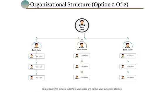 Organizational Structure Option Marketing Ppt PowerPoint Presentation Show Infographics