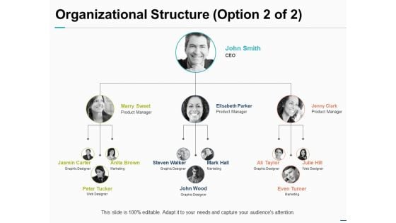 Organizational Structure Option Ppt PowerPoint Presentation Inspiration Objects