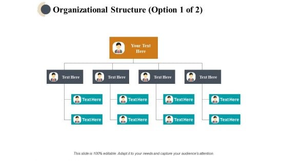 Organizational Structure Ppt PowerPoint Presentation Outline Layouts