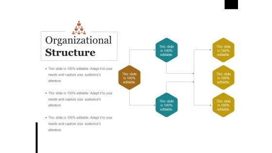 Organizational Structure Ppt PowerPoint Presentation Summary Brochure Organizational Structure Ppt PowerPoint Presentation Summary Brochure