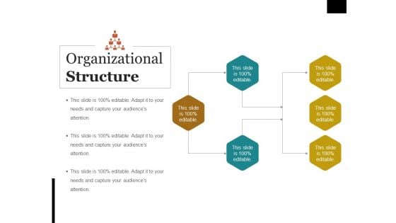 Organizational Structure Ppt PowerPoint Presentation Summary Brochure