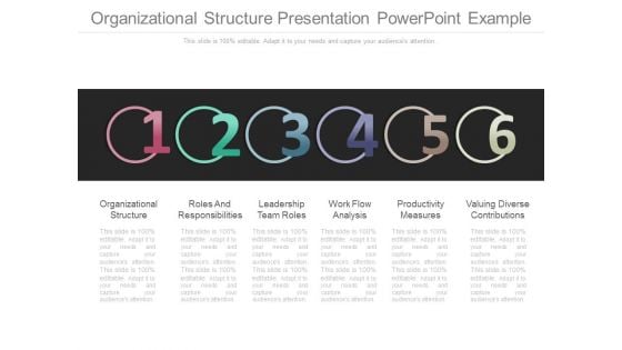 Organizational Structure Presentation Powerpoint Example