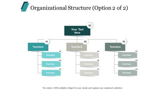 Organizational Structure Process Ppt PowerPoint Presentation Portfolio Graphic Images