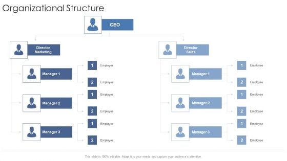 Organizational Structure Startup Business Strategy Ppt Gallery Icon PDF