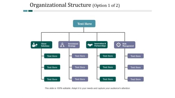 Organizational Structure Template 1 Ppt PowerPoint Presentation Ideas Graphic Images