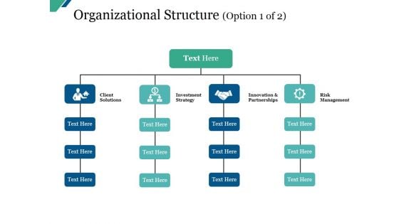Organizational Structure Template Ppt PowerPoint Presentation Icon Example