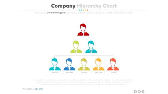 Organizational Structures Hierarchy Chart Powerpoint Template