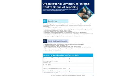 Organizational Summary For Internal Control Financial Reporting One Pager Documents