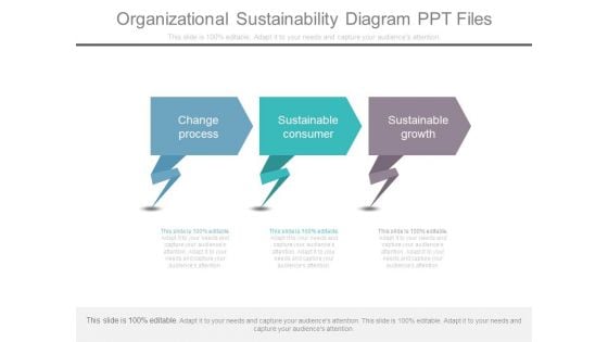 Organizational Sustainability Diagram Ppt Files