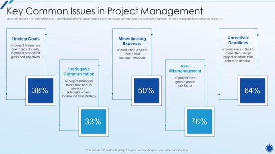 Organizing Action Plan For Successful Project Management Key Common Issues In Project Management Graphics PDF