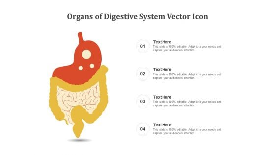 Organs Of Digestive System Vector Icon Ppt PowerPoint Presentation Pictures Outfit PDF