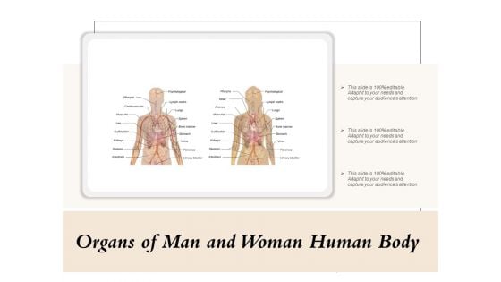 Organs Of Man And Woman Human Body Ppt PowerPoint Presentation Icon Ideas PDF