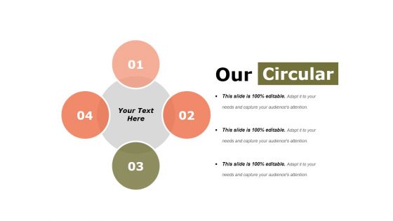 Our Circular Ppt PowerPoint Presentation Slides Display