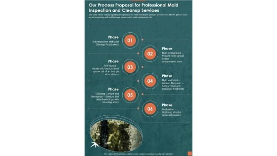 Our Process Proposal For Professional Mold Inspection And Cleanup Services One Pager Sample Example Document