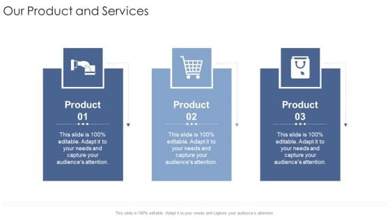 Our Product And Services Capture Startup Business Strategy Ppt Icon Vector PDF